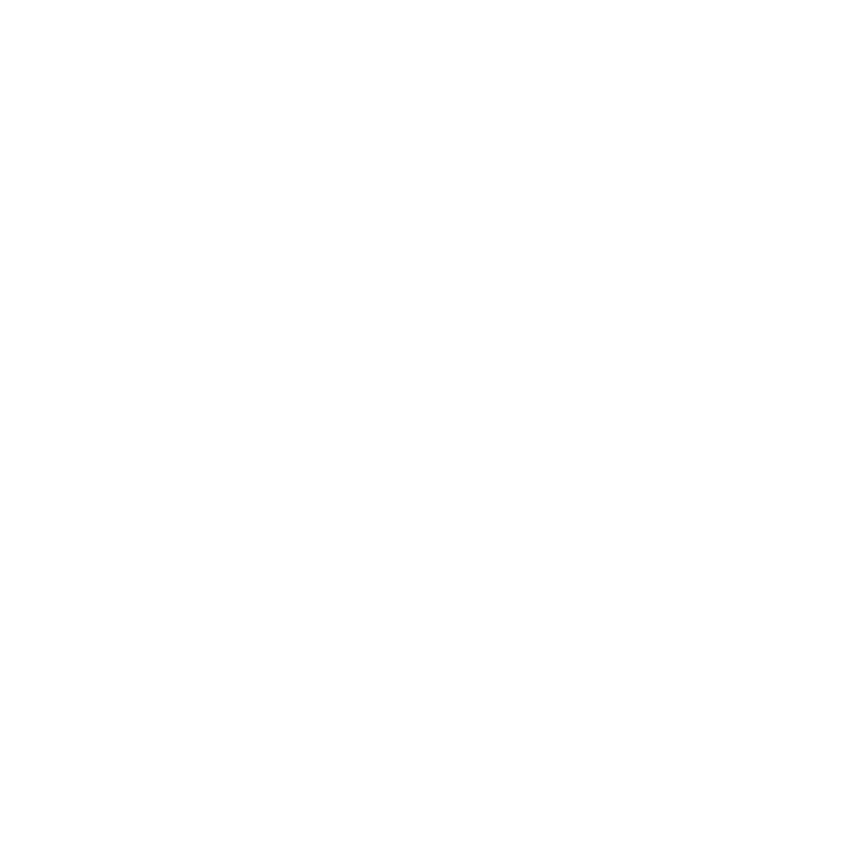 Higher Level Fitness Gym Logo